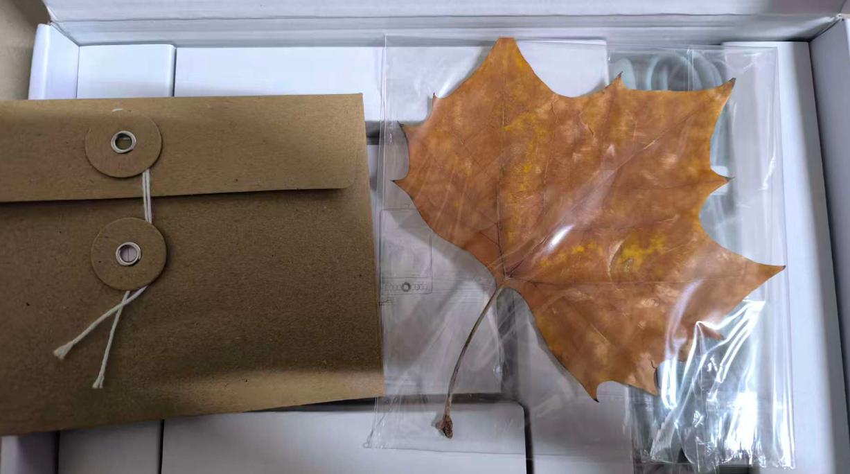 一份生日礼物 一份生日礼物